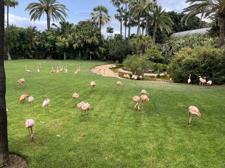 Loro park
